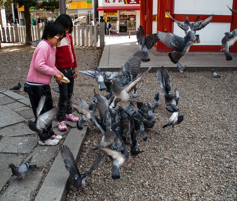 🏯 오스 관음(오스칸논) 이미지 8